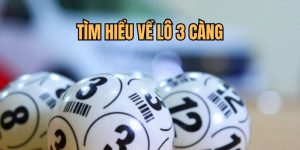 Hình thức đề 3 càng được hiểu như thế nào?